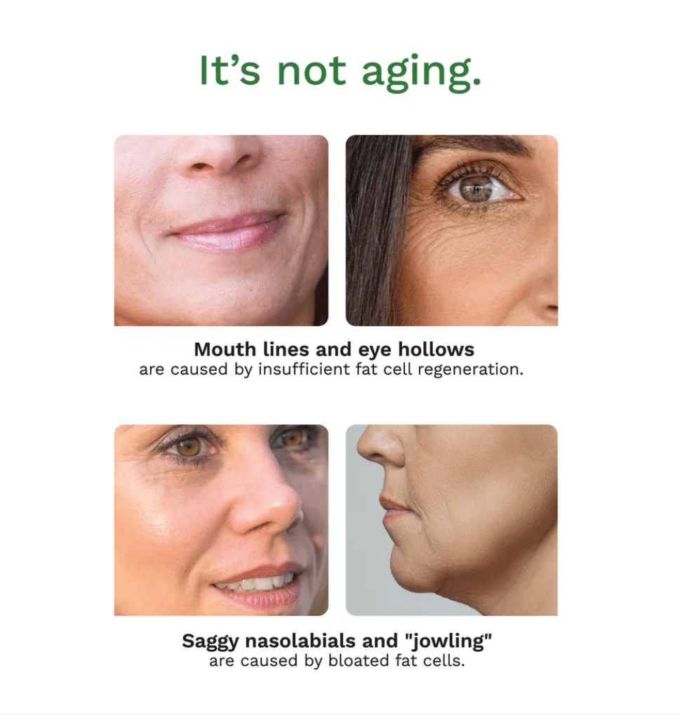 Living Beauty face cream Adipeau Volume Cream