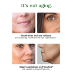 Living Beauty face cream Adipeau Volume Cream