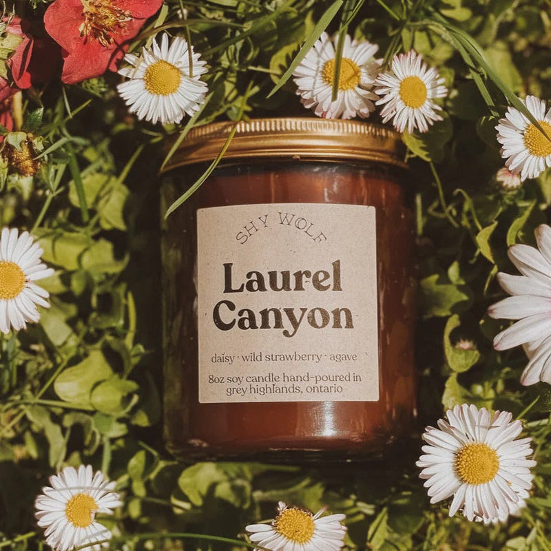Shy Wolf Candle Laurel Canyon