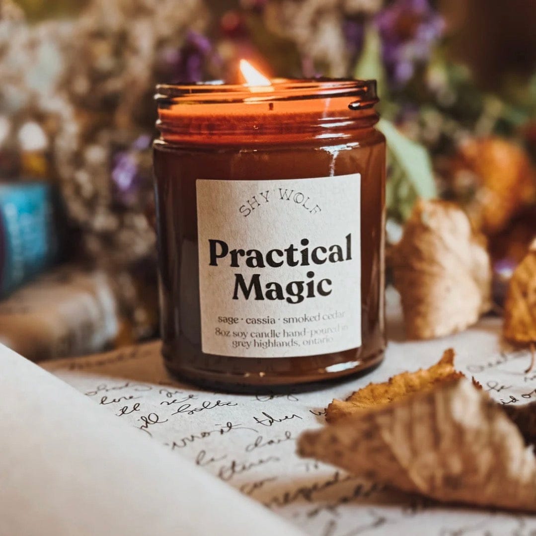 Shy Wolf Candle Practical Magic